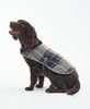 Barbour Wetherham Tartan Dog Coat - Gardenia Thumbnail