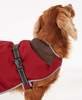 Barbour Monmouth Waterproof Dog Coat - Red Thumbnail