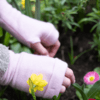 Turtles Doves Fingerless Glove - Pink Thumbnail